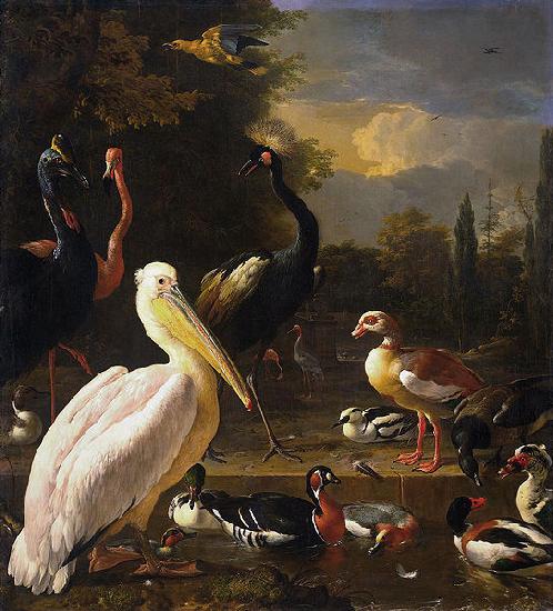 HONDECOETER, Melchior d A Pelican and Other Birds Near a Pool, France oil painting art
